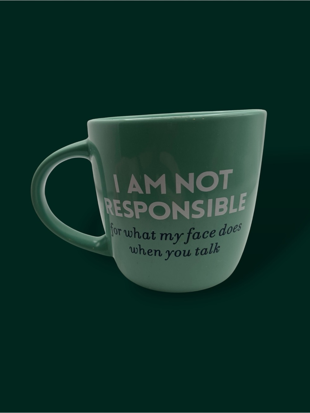 Turquoise "I Am Not Responsible for what my face does when you talk" mug